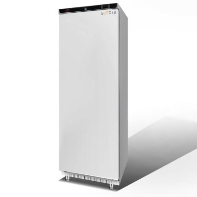 Шафа середньотемпературна BR600V Gooder