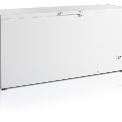 Скриня морозильна FR605 SL (Tefcold)